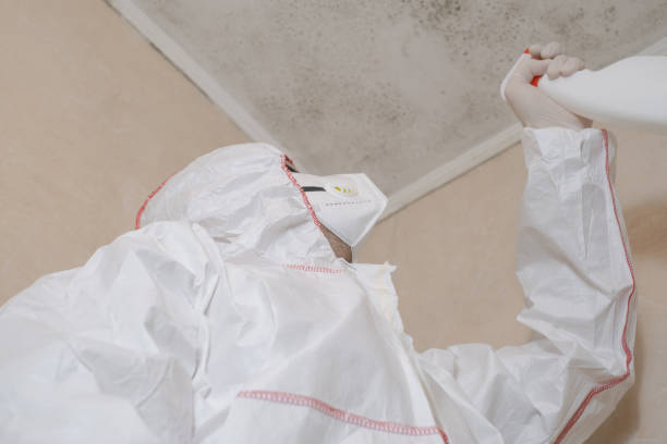 Blue Ridge, VA Mold Remediation Company
