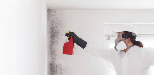 Best Crawl Space Mold Remediation in Blue Ridge, VA