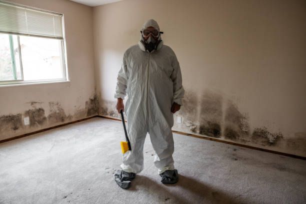 Best HVAC Mold Remediation in Blue Ridge, VA